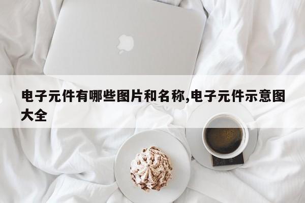 电子元件有哪些图片和名称,电子元件示意图大全