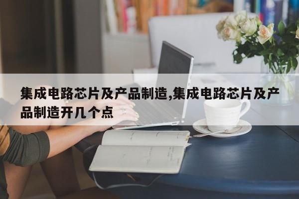 集成电路芯片及产品制造,集成电路芯片及产品制造开几个点