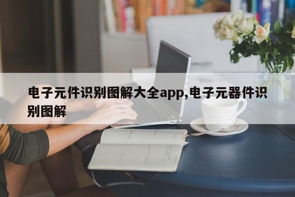 电子元件识别图解大全app,电子元器件识别图解