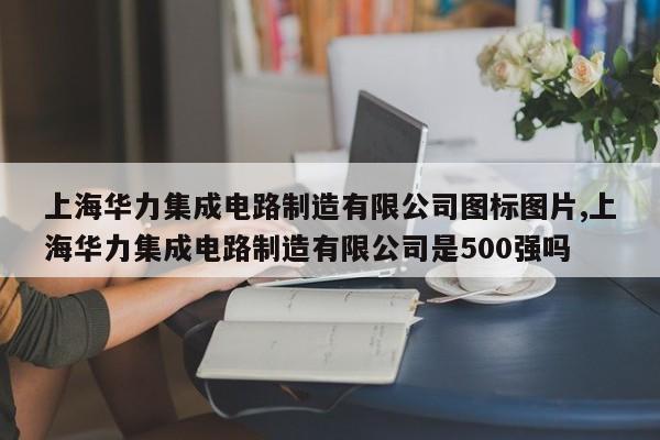 上海华力集成电路制造有限公司图标图片,上海华力集成电路制造有限公司是500强吗
